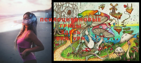 2c-b Бугульма